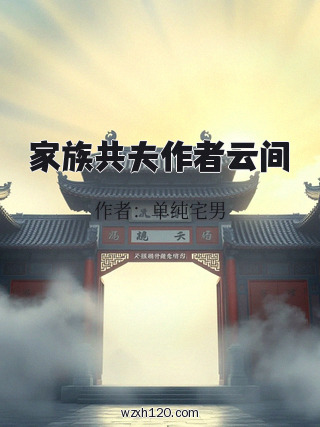 家族共夫作者云间