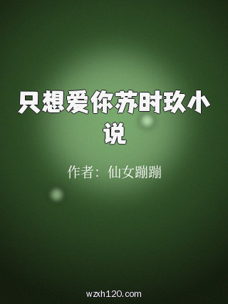 只想爱你苏时玖小说