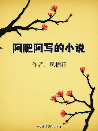 阿肥阿写的小说