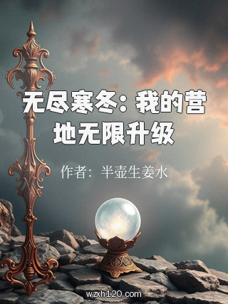 无尽寒冬:我的营地无限升级