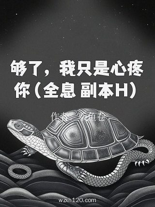 够了,我只是心疼你(全息 副本H)