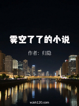 雾空了了的小说