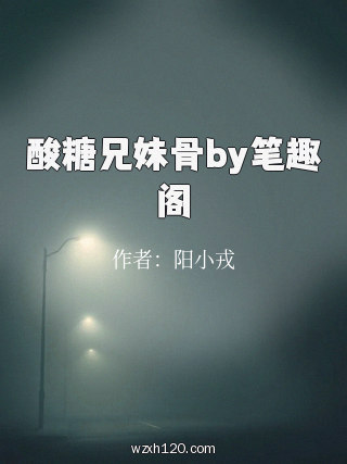 酸糖兄妹骨by笔趣阁