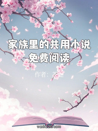 家族里的共用小说免费阅读
