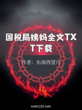 国税局姨妈全文TXT下载