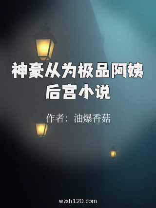 神豪从为极品阿姨后宫小说