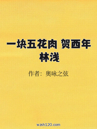 一块五花肉 贺西年 林浅