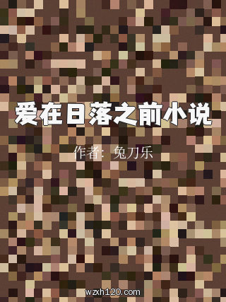 爱在日落之前小说