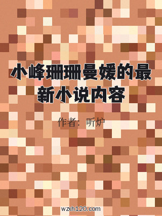 小峰珊珊曼媛的最新小说内容