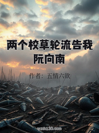 两个校草轮流告我阮向南