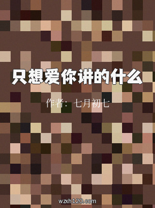 只想爱你讲的什么