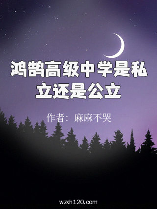 鸿鹄高级中学是私立还是公立