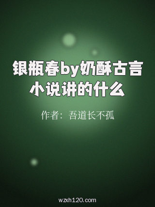 银瓶春by奶酥古言小说讲的什么