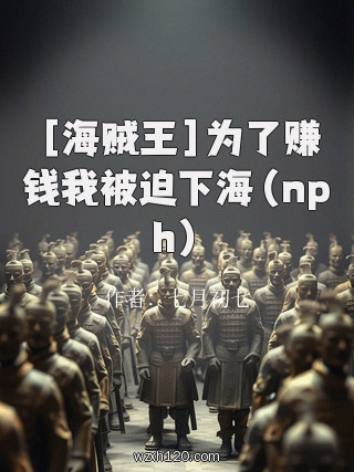 ［海贼王］为了赚钱我被迫下海（nph）