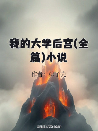 我的大学后宫(全篇)小说