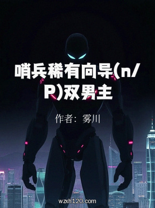 哨兵稀有向导(n/P)双男主