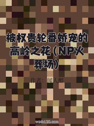 被权贵轮番娇宠的高岭之花(NP火葬场)