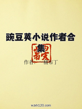 豌豆荚小说作者合集