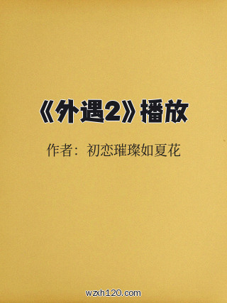 《外遇2》播放