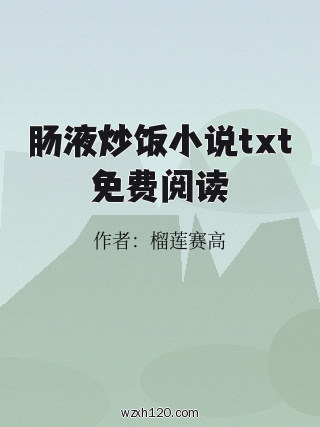 肠液炒饭小说txt免费阅读