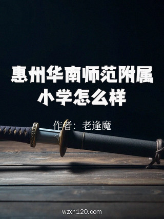 惠州华南师范附属小学怎么样