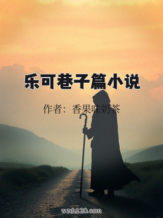 乐可巷子篇小说
