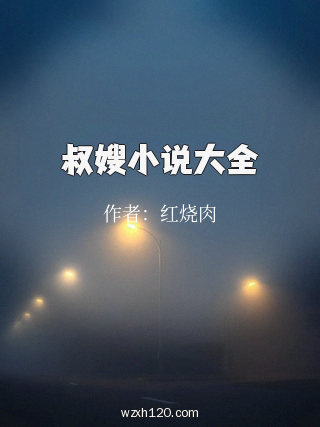 叔嫂小说大全