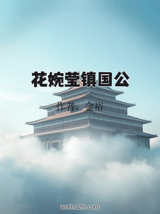 花婉莹镇国公