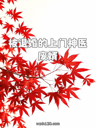 被退婚的上门神医废婿