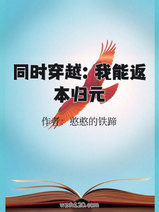 同时穿越:我能返本归元
