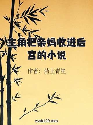 主角把亲妈收进后宫的小说