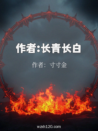 作者:长青长白