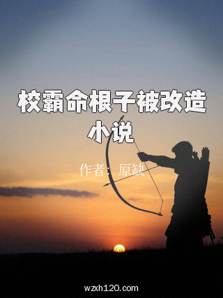 校霸命根子被改造小说