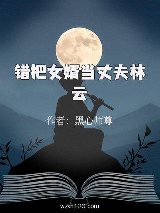 错把女婿当丈夫林云