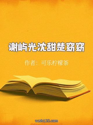 谢屿光沈甜楚窈窈