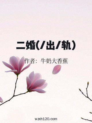 二婚(/出/轨)