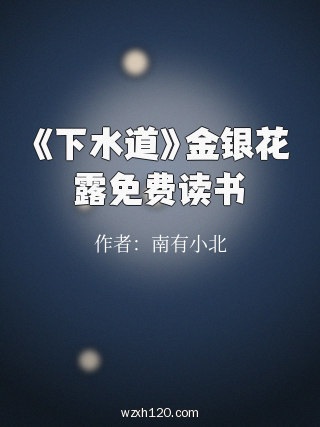 《下水道》金银花露免费读书