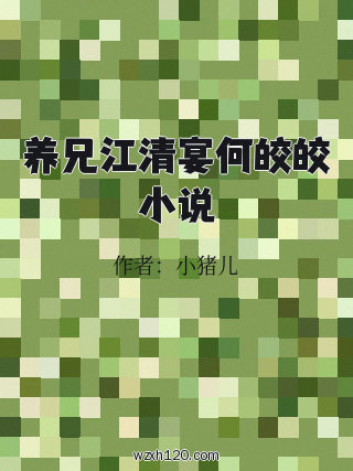养兄江清宴何皎皎小说