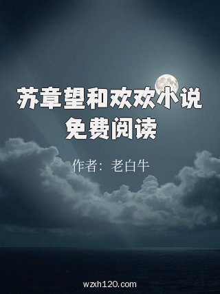 苏章望和欢欢小说免费阅读
