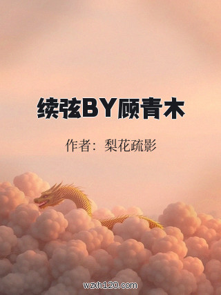 续弦BY顾青木
