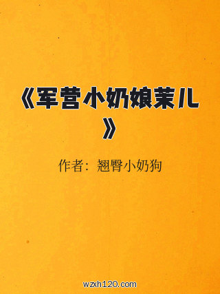 《军营小奶娘茉儿》
