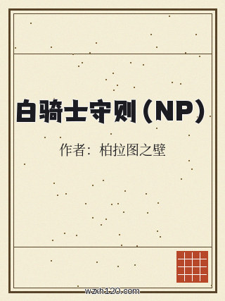 白骑士守则(NP)