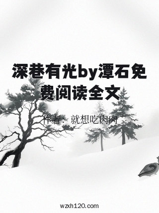 深巷有光by潭石免费阅读全文