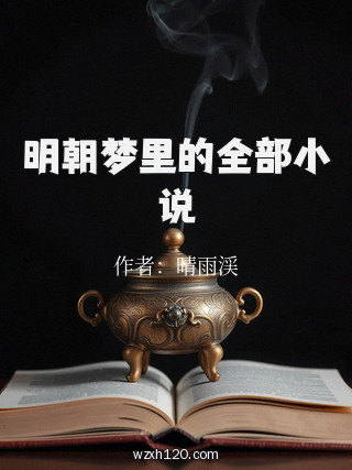 明朝梦里的全部小说