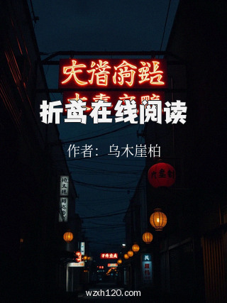 折鸢在线阅读