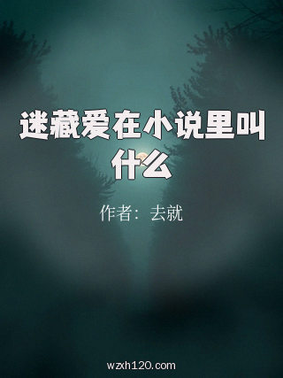 迷藏爱在小说里叫什么
