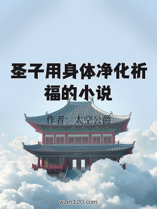 圣子用身体净化祈福的小说