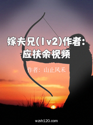 嫁夫兄(1v2)作者:应扶余视频