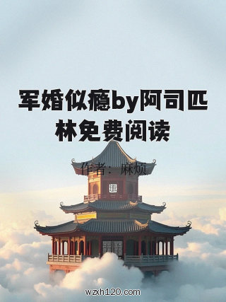 军婚似瘾by阿司匹林免费阅读