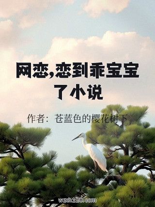 网恋,恋到乖宝宝了小说